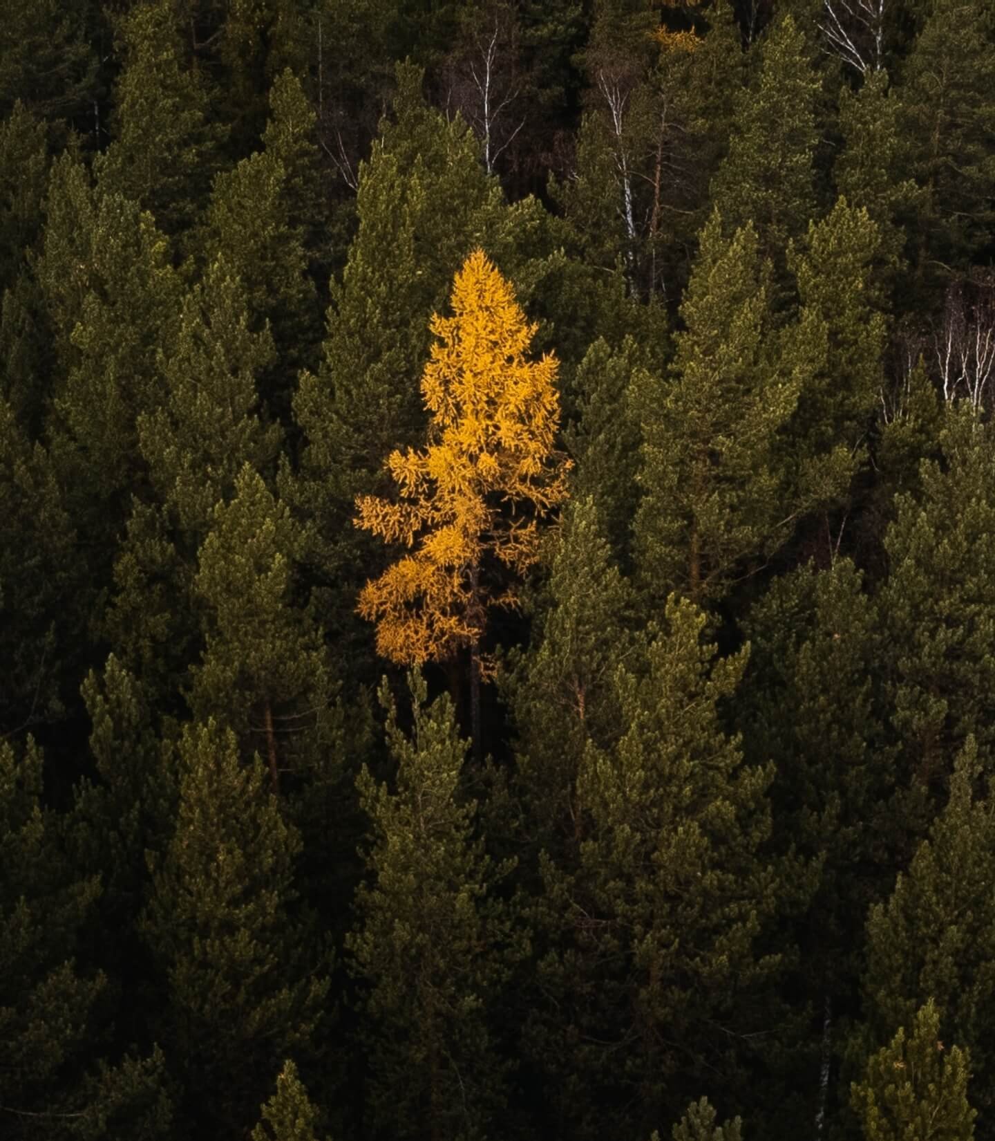 Media Training & On-Camera Coaching